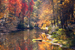 Autumn River